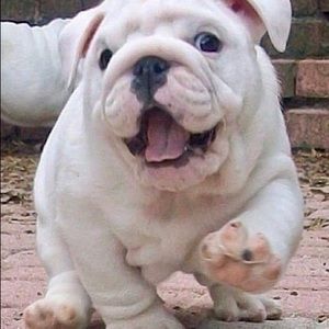 Meet your Posher, Trey